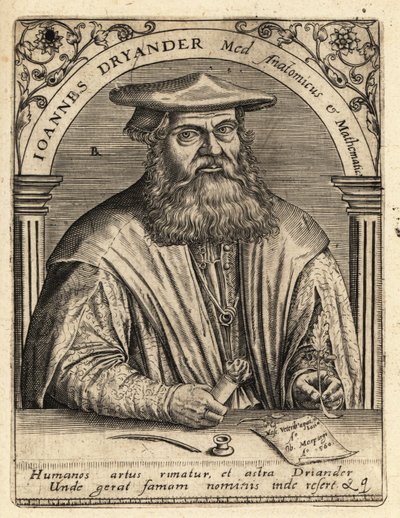 Johann Dryander német anatómus alkotó: Theodore de Bry