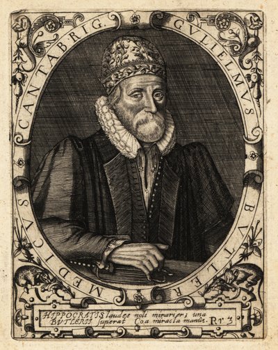 William Butler, angol akadémikus alkotó: Theodore de Bry