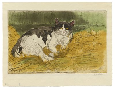 Régi fekete-fehér macska a fűben alkotó: Théophile Alexandre Steinlen