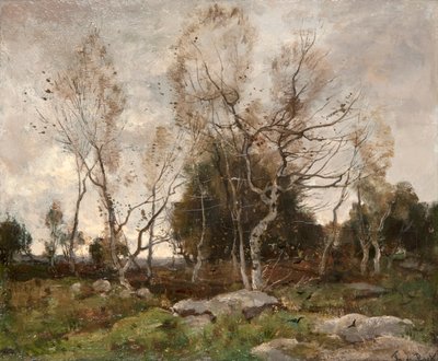 Táj (olaj, vászon) alkotó: Theophile de Bock