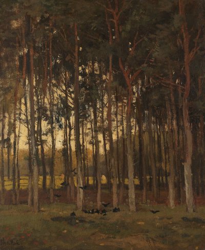 Kilátás az erdőben alkotó: Theophile de Bock