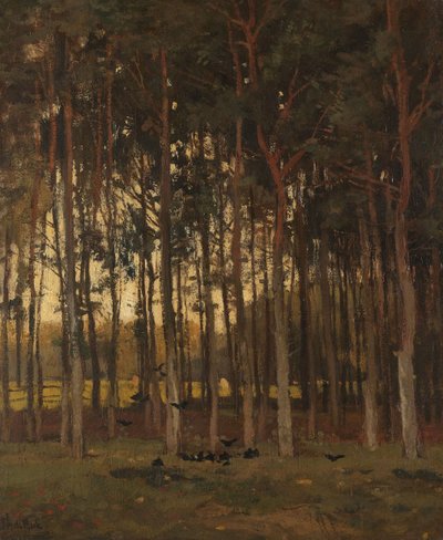 Kilátás az erdőben alkotó: Theophile de Bock