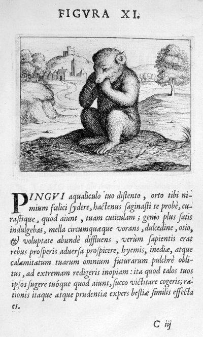 XI. prófécia ábra az Eximii Doctor Paracelsus jóslatából, 1536 alkotó: Theophrastus Bombastus von Hohenheim Paracelsus
