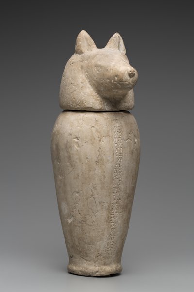 Canopic Jar Sakál fejével (mészkő) alkotó: Third Intermediate Period Egyptian
