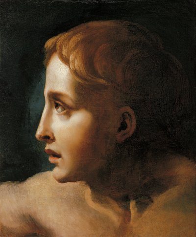 Fiatalok vezetője alkotó: Theodore Gericault