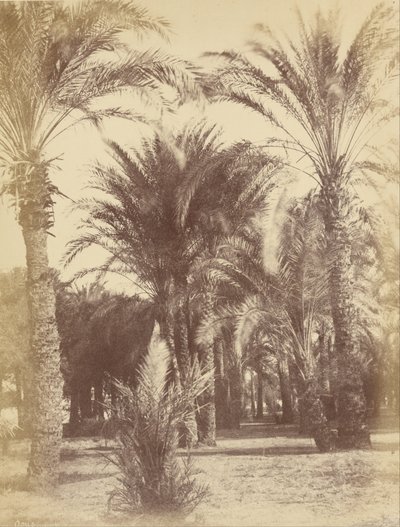 Gous alkotó: Théodule Devéria