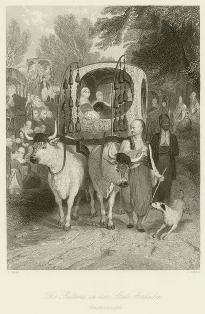 A szultána az ő állami Arrhuba alkotó: Thomas Allom