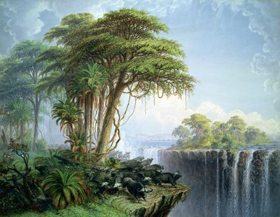 Ismeretlen kép alkotó: Thomas Baines