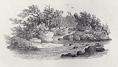 Egy kanyar a folyóban a "History of British Birds, 2. kötet: Water Birds" című könyvből, 1804 alkotó: Thomas Bewick