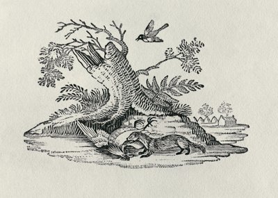 Civet kakassal a Négylábúak története című filmből, 1790 alkotó: Thomas Bewick
