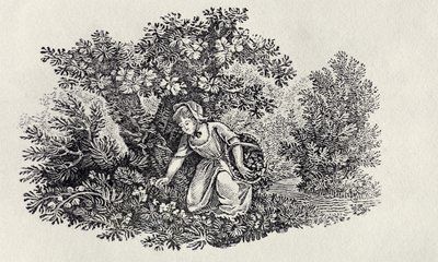 Virágokat gyűjtő lány a Brit madarak és négylábúak történelméből alkotó: Thomas Bewick