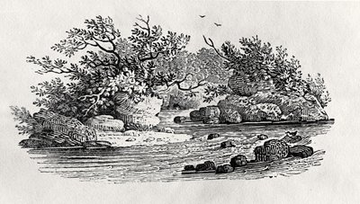 Egy kanyar a folyóban, az 1804-ben megjelent „Vízimadarak”-ból (fametszet) alkotó: Thomas Bewick