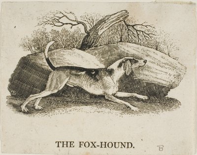 Fox Hound alkotó: Thomas Bewick