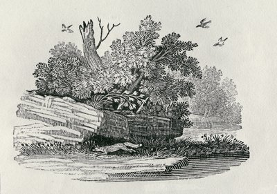 Róka menekül, a "The General History of Quadrupeds" című, 1790-ben kiadott könyvből (fametszet). alkotó: Thomas Bewick