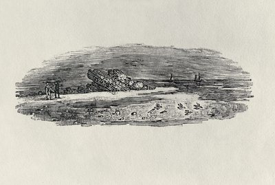 Sziklák parti hajózással, 1801 körül, az 1804-ben megjelent "Water Birds" című kötetből (fametszet). alkotó: Thomas Bewick