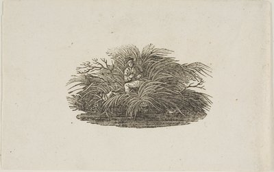 Farokrész: Ember a bokorban alkotó: Thomas Bewick