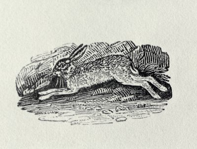 A nyúl a Brit madarak és négylábúak történetéből alkotó: Thomas Bewick