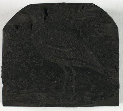 Fablokk a Nagy lilehez, A brit madarak történetéből alkotó: Thomas Bewick