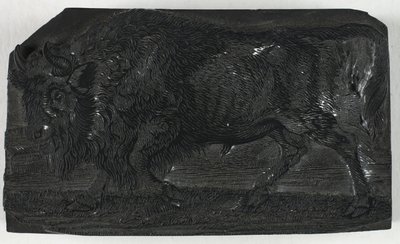 Woodblock az Urushoz vagy a Wild Bullhoz, A négylábúak általános történetéből alkotó: Thomas Bewick