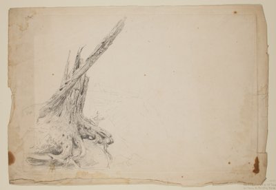 Törött fa törzse (ceruza papíron) alkotó: Thomas Cole