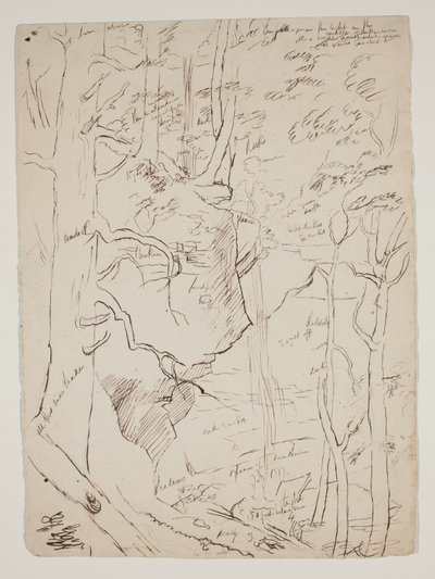 Kaaterskill-vízesés, 1801-48 körül (toll és barna tinta) alkotó: Thomas Cole