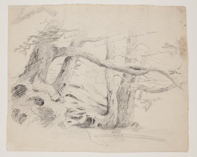 Tölgy és vérfű (ceruza papíron) alkotó: Thomas Cole