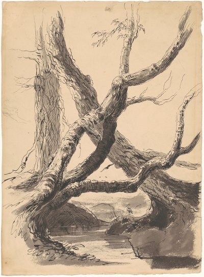 Fatörzsek alkotó: Thomas Cole