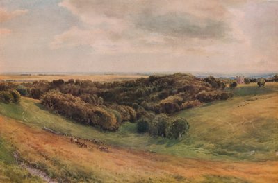Arundel Park, 1874 alkotó: Thomas Collier