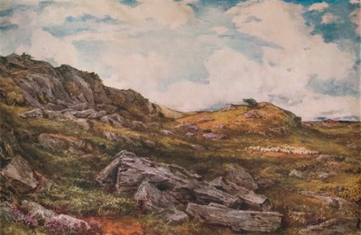 Blythburgh Common, 1888 alkotó: Thomas Collier