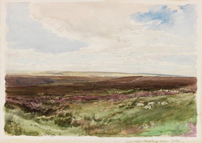 Moorland near Hart Leap Well, Yorkshire (akvarell, papír) alkotó: Thomas Collier