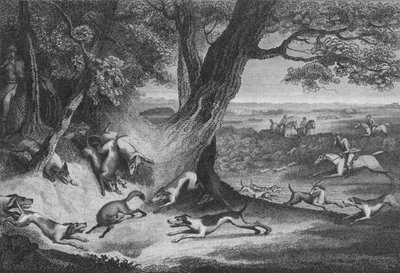 A róka halála, 1793. alkotó: Thomas Cook