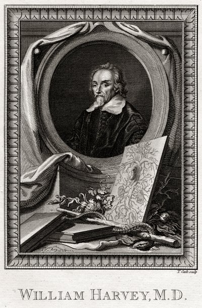William Harvey, 1777 alkotó: Thomas Cook