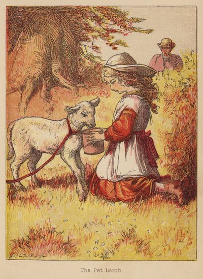 A kisállat bárány (színes metszet) alkotó: Thomas Dalziel