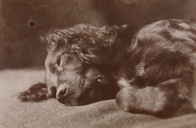  alkotó: Thomas Eakins