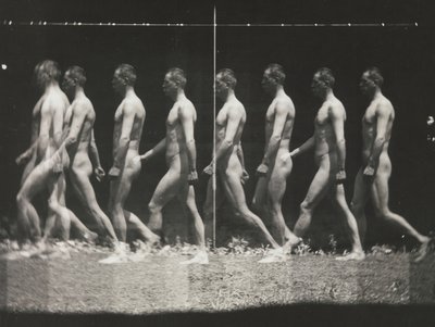 [Man Walking, Stroboscopic Photograph], 1880-as évek, nyomtatott 1930-40-es évek, 1880-as évek, nyomtatott 1930-40-es évek. alkotó: Thomas Eakins