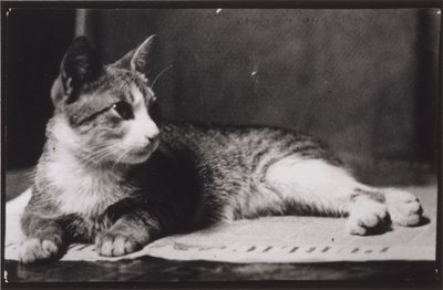  alkotó: Thomas Eakins