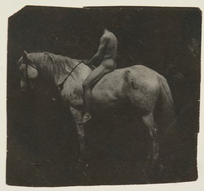 Samuel Murray Astride Eakins: Horse Billy, c. 1892. alkotó: Thomas Eakins