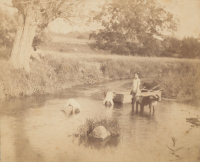 [Három gyerek és egy kutya játszik a patakban, 1883. július 4.], 1883., 1883. alkotó: Thomas Eakins
