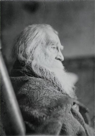 Walt Whitman Camdenben, N.J., kb. 1891. alkotó: Thomas Eakins
