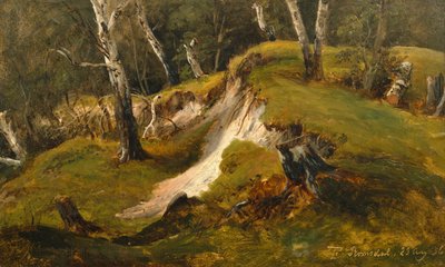 Birck készletek Romsdalban alkotó: Thomas Fearnley
