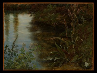  alkotó: Thomas Fearnley