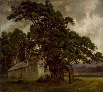  alkotó: Thomas Fearnley