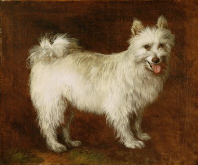 Spitz kutya, 1760-70 körül (olaj, vászon) alkotó: Thomas Gainsborough