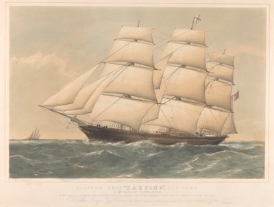 Clipper hajó Taeping, 767 tonna alkotó: Thomas Goldsworth Dutton