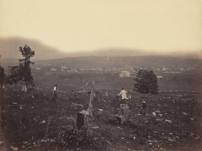 Waymart, Del. & Hudson Canal Co., c. 1863-1865. alkotó: Thomas H. Johnson