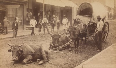 No. 2009, "Taking a Rest", 1890-1895. alkotó: Thomas H. Lindsey