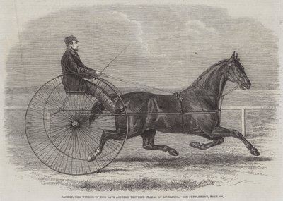 Jackey, a néhai Aintree Trotting Stakes győztese Liverpoolban alkotó: Thomas Harrington Wilson