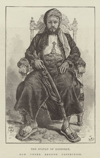 Zanzibár szultána, jelenleg brit védelme alatt áll alkotó: Thomas Harrington Wilson