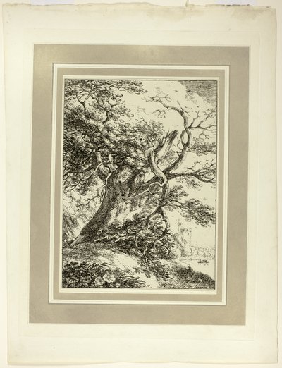 Öreg fa, a Specimens of Polyautography első számából alkotó: Thomas Hearne