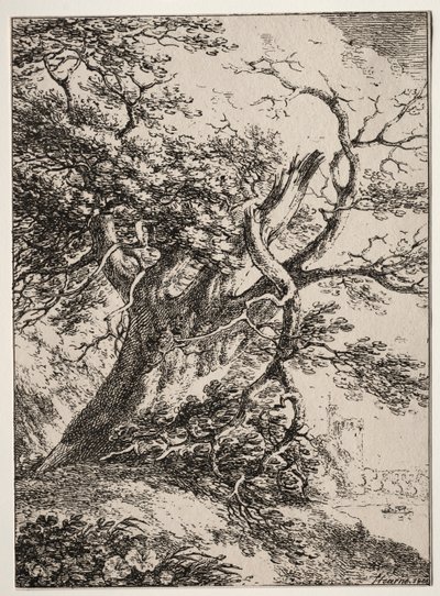 A poliautográfia példányai: Táj tölgyfával, 1803. alkotó: Thomas Hearne